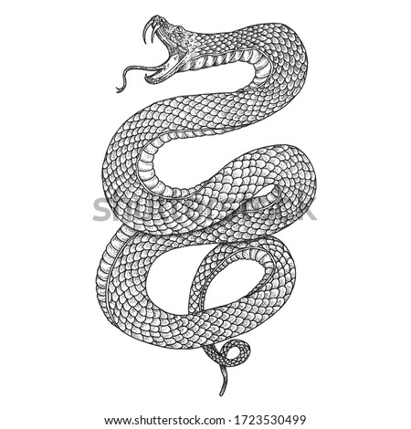 Snake Find And Download Best Transparent Png Clipart Images At Flyclipart Com