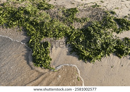 Similar – Image, Stock Photo When dawn breaks, a light comes on