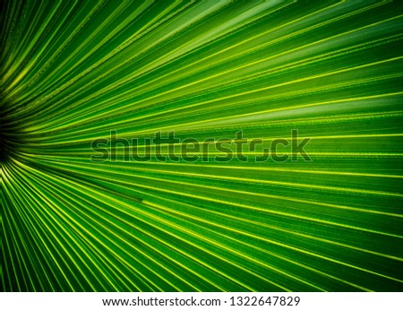 Green Leaf