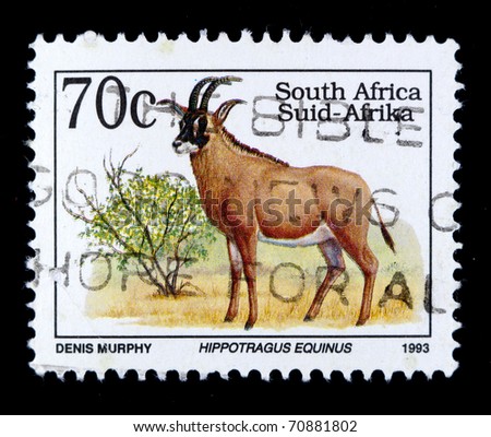 SOUTH AFRICA - CIRCA 1993: A stamp printed in South Africa shows image of Hippotragus Equinus, series, circa 1993