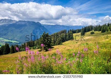 Mountain landscape in The Grand-Bornand, Haute-savoie, France Photo stock © 