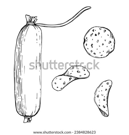 Hand drawn vector ink illustration. Pepperoni salami sausage stick and slices, pizza topping. Single object isolated on white. Design for restaurant, menu, cafe, food shop or package, flyer, print.
