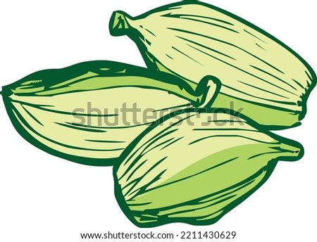 Three kernels of green cardamom