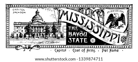 The state banner of Mississippi the bayou state this banner has state house on left side right side of seal has eagle with wings spread wide and head held high vintage 