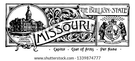 The state banner of Missouri the bullion state this banner has state house on left side and right side the official seal of the U.S. state of Missouri which has two bears and bald eagle and moon vinta