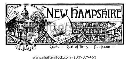 The state banner of New Hampshire the granite state this seal has state house in circle in middle shield with sun rays and sailing ship vintage line drawing or engraving illustration 