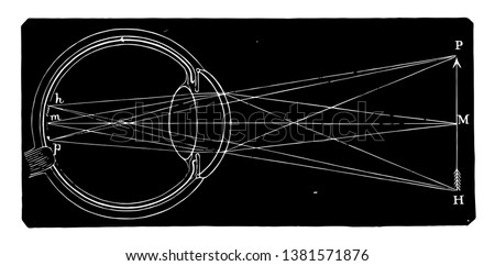 This illustration represents A Diagram of the Retina and Crystalline Lens, vintage line drawing or engraving illustration. Foto d'archivio © 