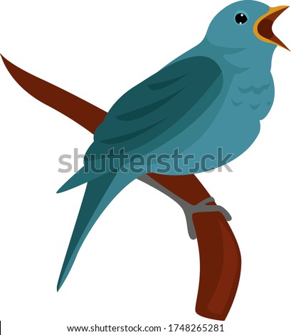Nightingale bird , illustration, vector on white background