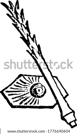 A typical representation of Archaeocidaris Urif Flem (spine and intermediate plate); Carboniferous, Ireland, looks like a hexagon that is patterned, vintage line drawing or engraving illustration.