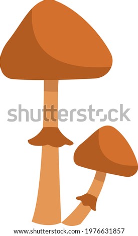 Two conocybe filaris mushrooms, icon illustration, vector on white background Zdjęcia stock © 