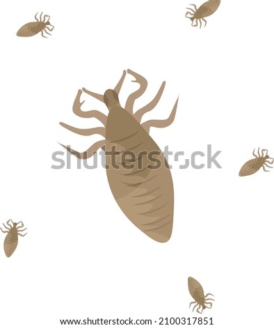 Lices, illustration, vector on a white background.