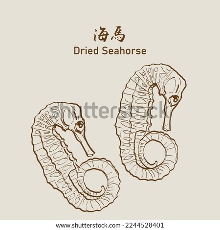 Kellogg’s Seahorse, Dried longsnout seahorse (Hippocampus reidi) also known as slender seahorse, Dried seahorse (Haima) 海馬. Vector EPS 10