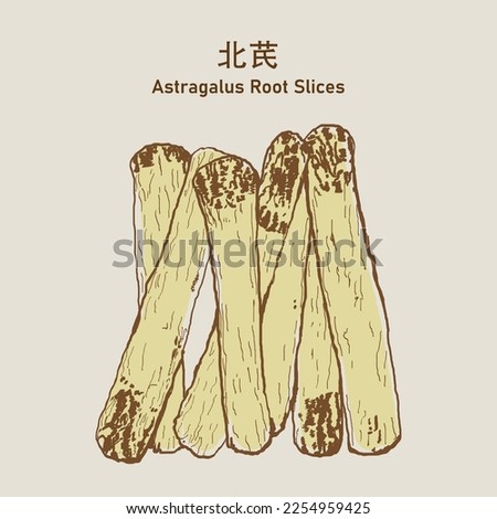 Astragalus root slices, Astrogalus Hoanglok, Astragalus Membranaceus, Radix Astragali, Goat’s Horn, Huang Qi, Membranous Milkvetch Root. Stimulate the immune system. Foto d'archivio © 