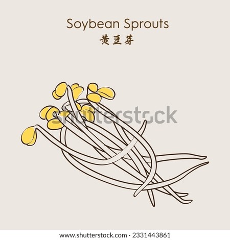 Fresh bean sprouts. Soybean sprouts.  High vitamin vegetable bean sprouts. Vector illustration.