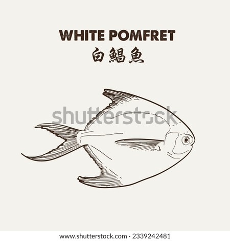 Silver pomfret or white pomfret is a species of butterfish that lives in coastal waters off the Middle East, South Asia, and Southeast Asia. Vector Illustration EPS 10.