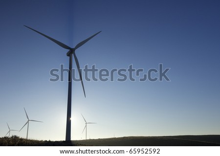 sunrise view of a group of mills for electric energy production