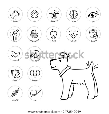 A set of icons for dog. The outline icons are well scalable and editable. Contrasting elements are good for different backgrounds. EPS10.	