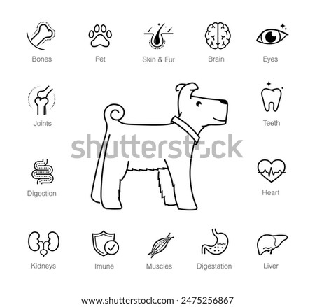 A set of icons for pet dog. The outline icons are well scalable and editable. Contrasting elements are good for different backgrounds. EPS10.	