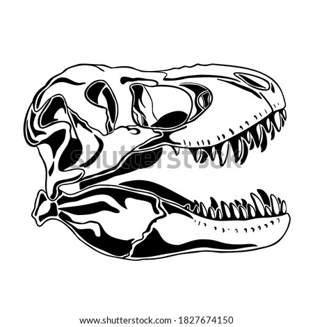 T Rex Skull Drawing | Free download on ClipArtMag