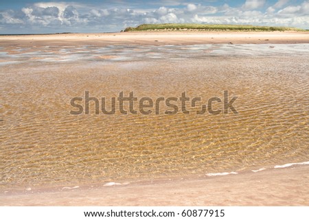 lonely beach sunlight sparkling in surf sand sun and water summertime