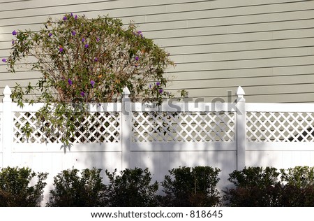 white fence with purple flower on bush outside residence