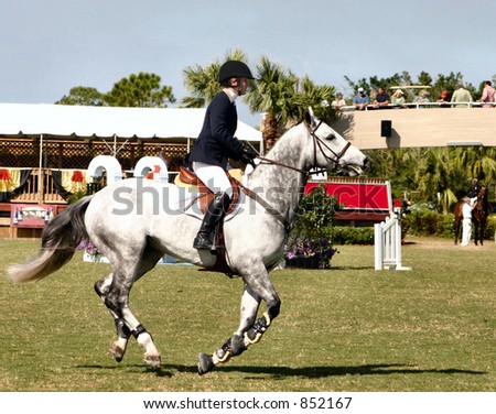 gray horse galloping with all four hoofs off the ground
