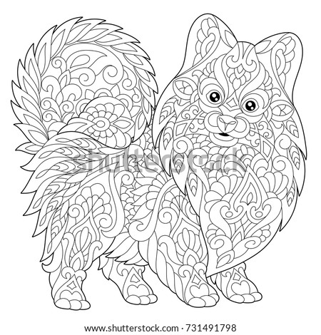 Download Pomeranian Puppy Coloring Pages At Getdrawings Free Download
