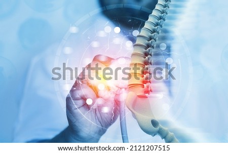 Doctor check and diagnose the human spine on blurred background. 3d illustration Foto stock © 