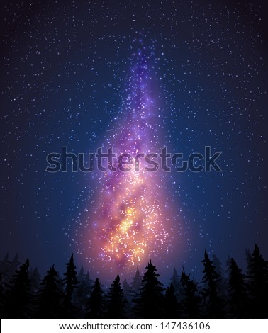 Milky way in the night sky and pine-trees - vector illustration.