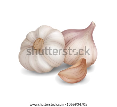Photo realistic garlic isolated on white background. Vector illustration. 3d game icon