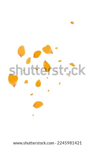 Similar – Image, Stock Photo Peach Tulip Petal Flower