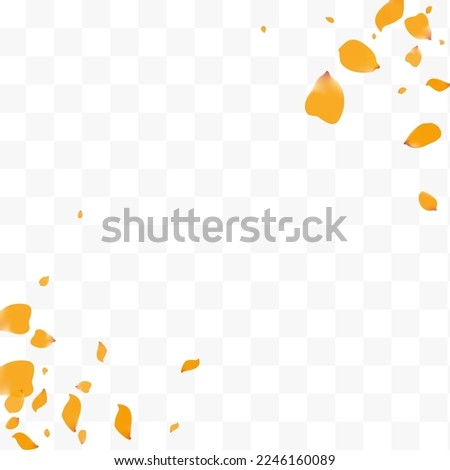 Similar – Image, Stock Photo Peach Tulip Petal Flower