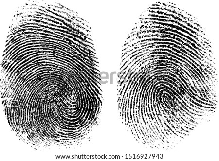 Fingerprints set vector artificially modified to avoid potentially sensitive information