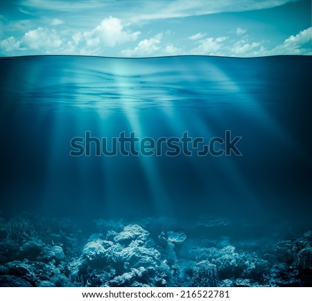 Underwater Coral