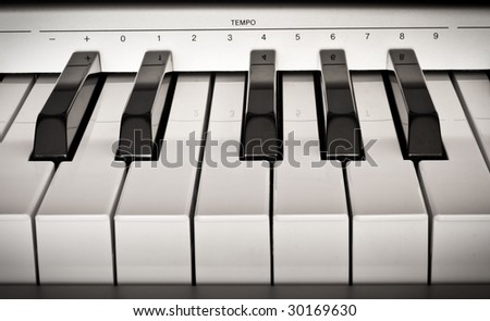 One octave of the electro piano