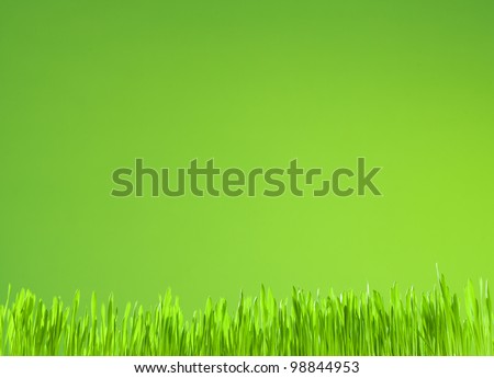 clean fresh grass growth on green background