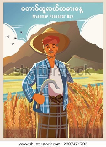 Myanmar Peasants' Day or Farmers' Day Full Vector Illustration. Asian Old Farmer Character Harvesting Ripe Rice in Rice Field or Paddy Field Design Concept