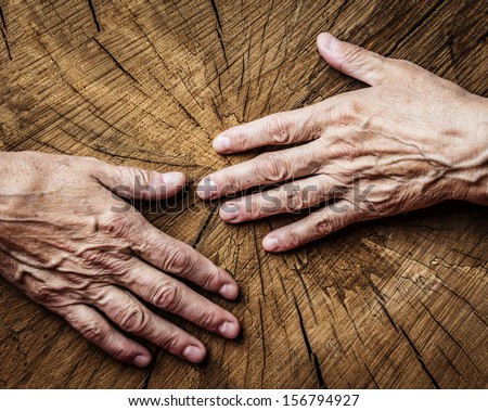 elderly concept - old hands and old tree