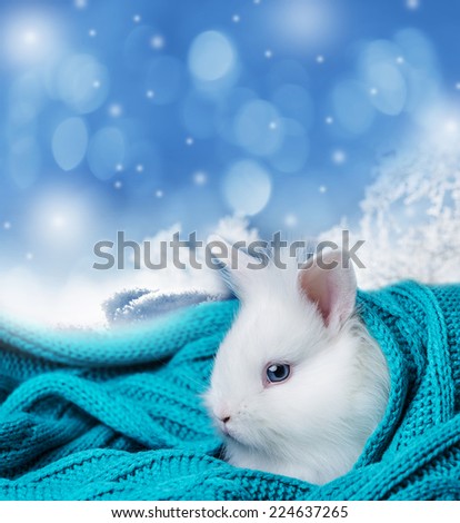little cute white rabbit in a soft scarf