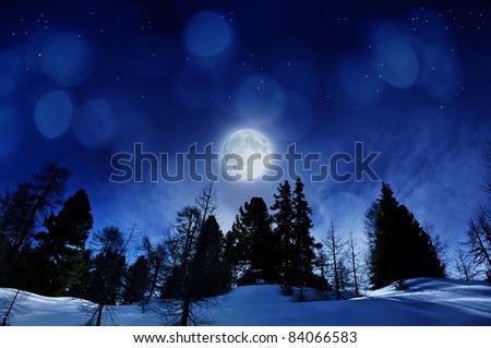 beautiful winter night