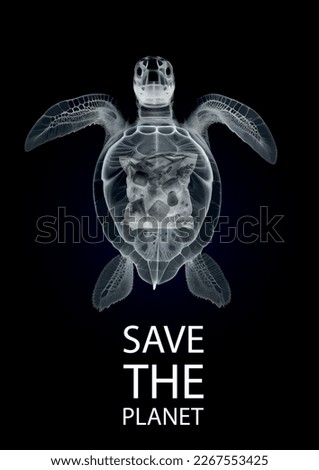 Vector image of an X-ray of a sea turtle with plastic garbage inside. Ecology poster calling for combating the problems of ocean pollution and environmental pollution.
