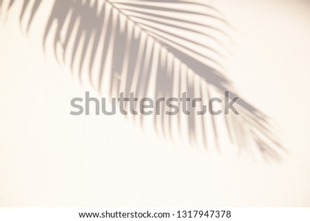 Summer abstract background of shadow exotic palm leaves on a white wall. White and Black for overlay a photo or mockup. Zdjęcia stock © 