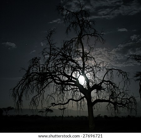Spooky Tree in the moonlight