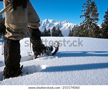 Snow shoes with alpine panorama