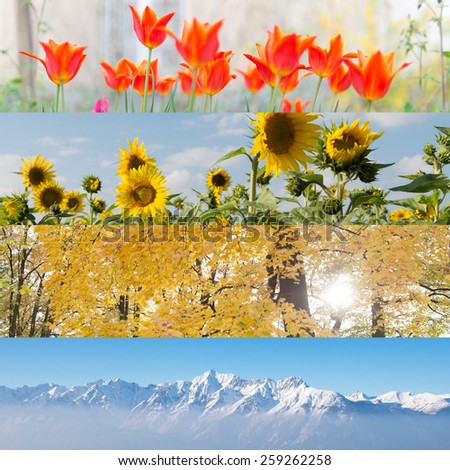 striped collage of four nature pictures in four seasons