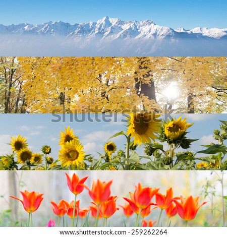 striped collage of four nature pictures in four seasons