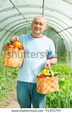 man with basket of harvested vegetables in greenhouse