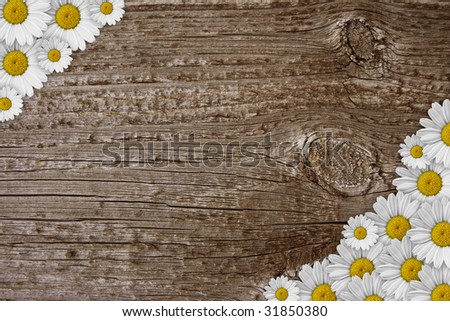 old piece of wood with many little daisies