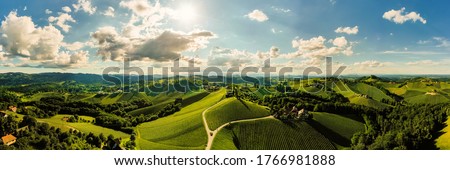 Vineyards panorama Leibnitz area famous destination wine street area south Styria on border with Slovenia. Wine country in summer. Tourist destination. Green hills and crops