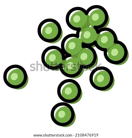 Green peas close up vector illustration. Outline color filled simple drawing Foto stock © 